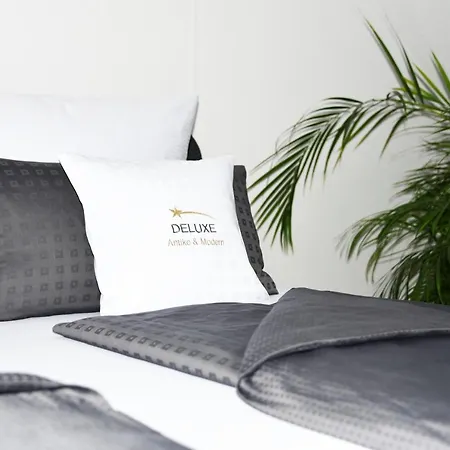 Apartment Antike & Modern Deluxe